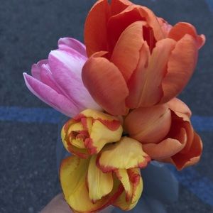 Meet your Posher, Jane